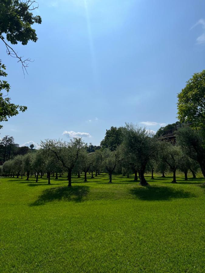 Homely Manerba Manerba del Garda Kültér fotó